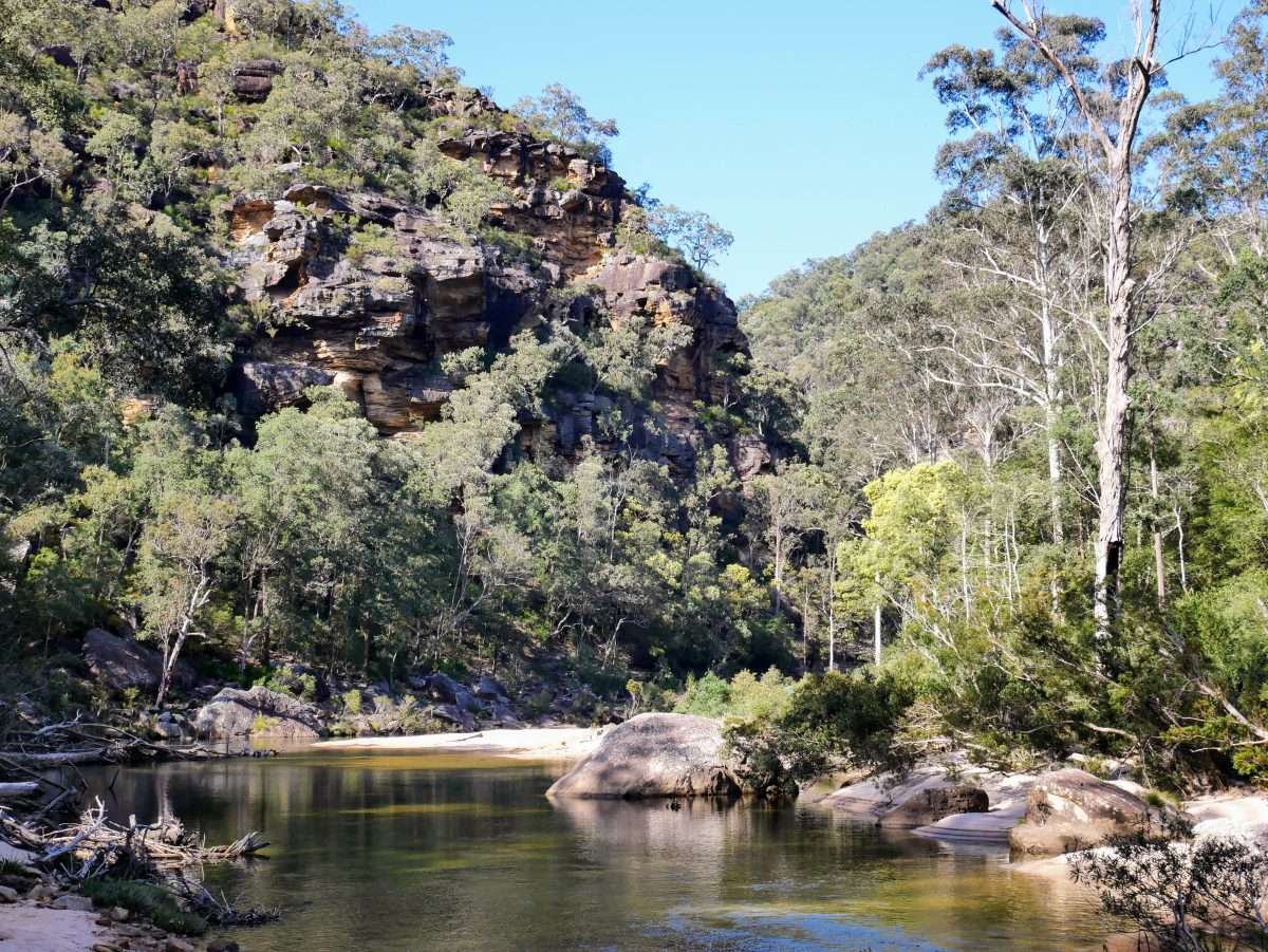 Jack Evans Track – Erskine Creek – Pisgah Rock Circuit, Blue Mountains NSW