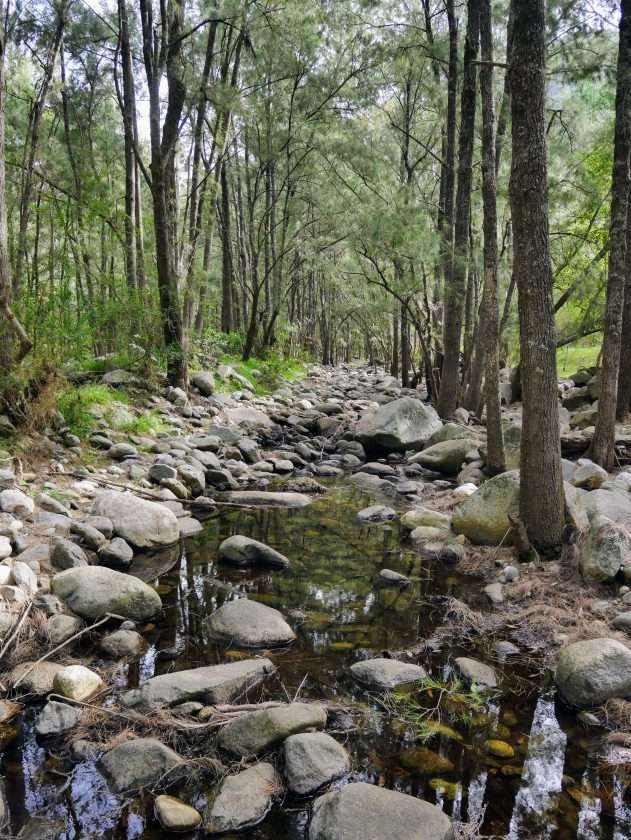 Long Point to the Shoalhaven River, Morton National Park