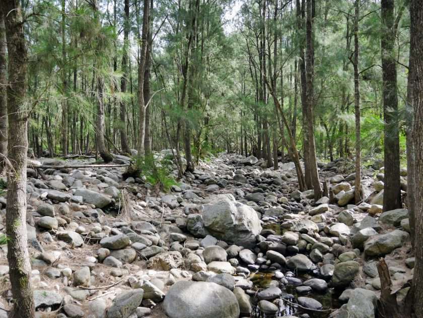 Long Point to the Shoalhaven River, Morton National Park