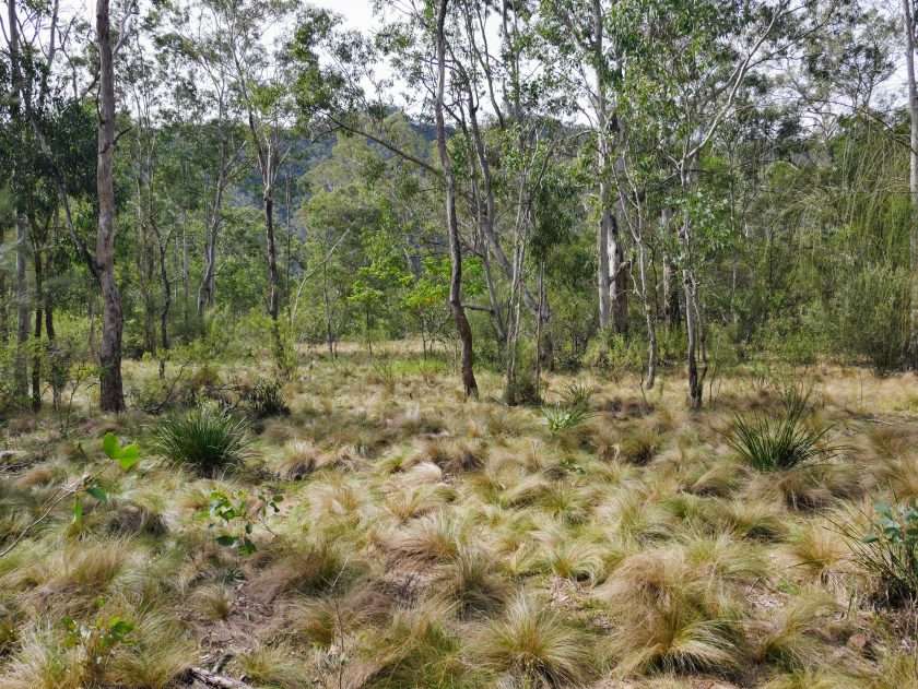 Long Point to the Shoalhaven River, Morton National Park