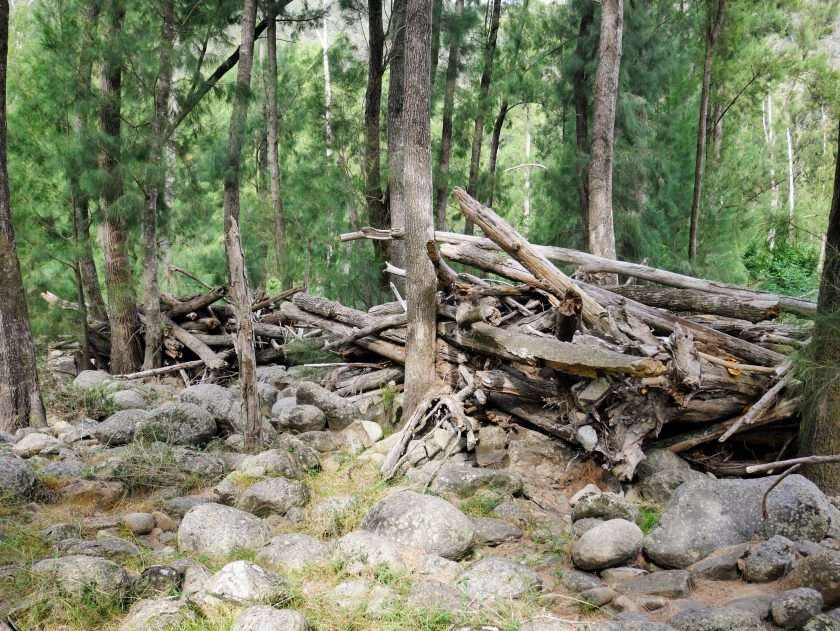 Long Point to the Shoalhaven River, Morton National Park
