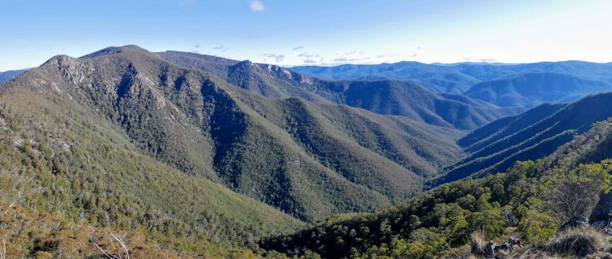 Tidbinbilla Mountain Circuit, Tidbinbilla Nature Reserve ACT